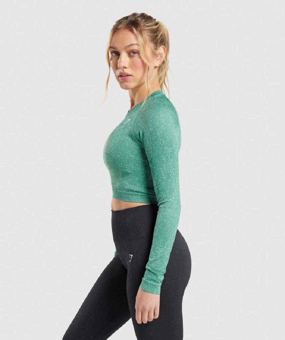 Gymshark Adapt Fleck Seamless Ženske Dugi Rukav Zelene | HR 3497QMA